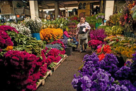 WALKING TOUR MERCADOS CHILANGOS
