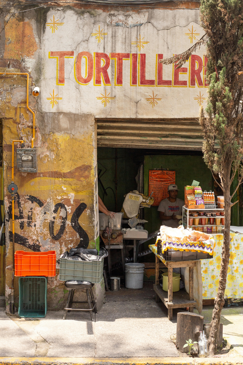 Hidden Markets of Mexico City Walking Tour