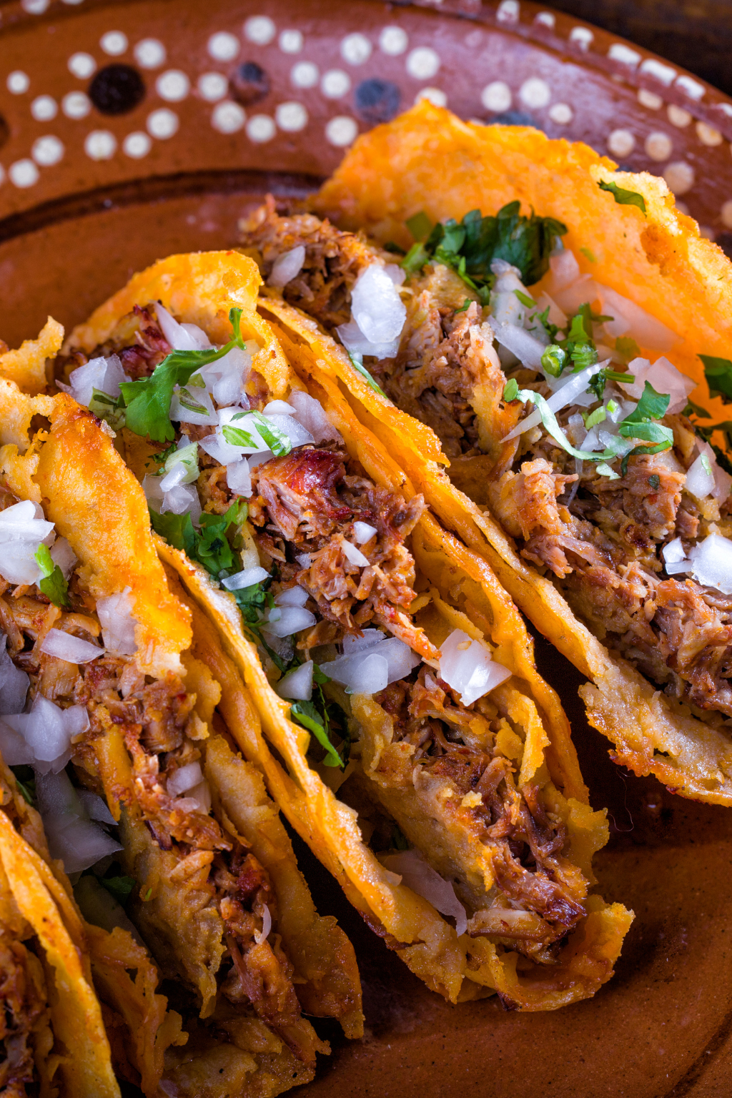 Authentic Mexican Tortilla Workshop