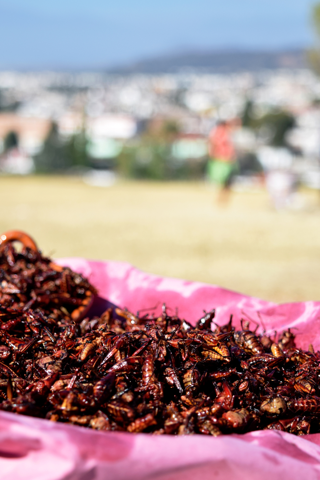 Hidden Markets of Mexico City Walking Tour