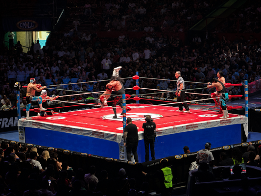 LUCHA LIBRE